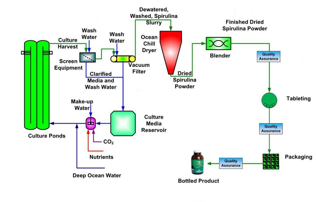 Quy trình sản xuất tảo Hawaiian Spirulina