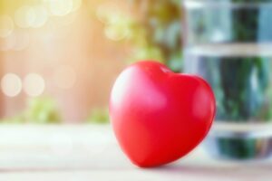 Khi cung cấp đủ nước, máu sẽ bơm dễ dàng hơn và giảm bớt căng thẳng cho tim /// Ảnh minh họa: Shutterstock