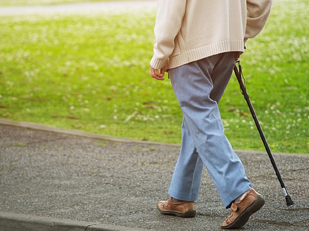 Đi bộ giúp người già cải thiện chức năng của chất trắng, giúp trí nhớ tốt hơn   /// Shutterstock