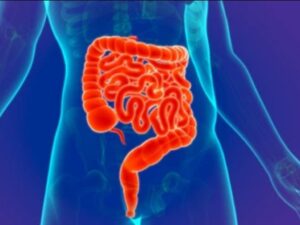 Cấy ghép phân có thể được dùng để điều trị Covid-19  /// Ảnh minh họa: Shutterstock