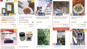 Do khan hàng, giá thành các sản phẩm xuyên tâm liên được rao bán trên mạng khá cao /// Ảnh T.Hằng