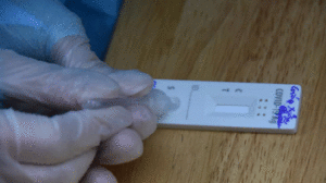 TP.HCM và các tỉnh gia tăng nhu cầu về test và thiết bị y tế chống dịch Covid-19 /// ẢNH KHÁNH PHƯƠNG