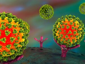 Các nhà khoa học đã sử dụng chất ức chế protease GC376 khống chế virus SARS-CoV-2  /// Ảnh: Shutterstock