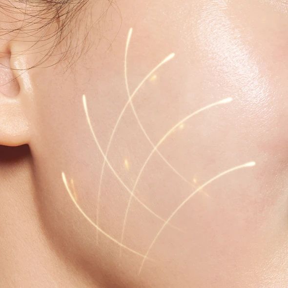 collagen có tác dụng gì cho da